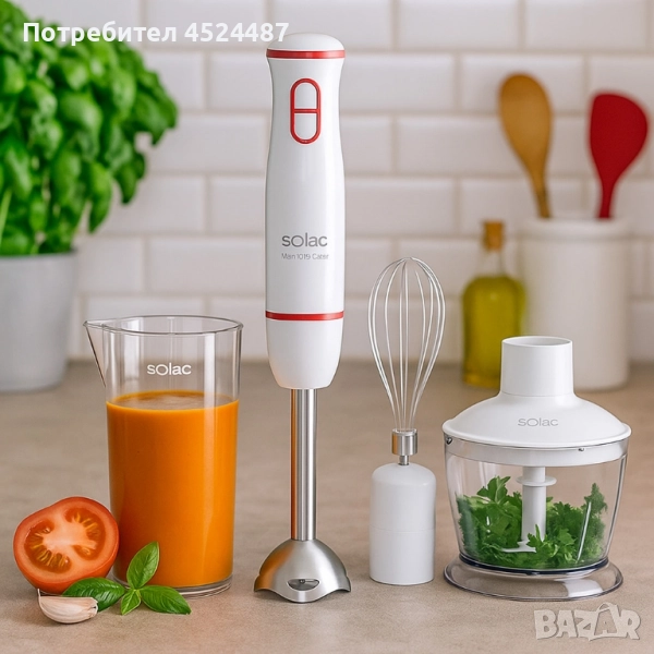 Пасатор, чопър и миксер - 3в1 Solac Mixo 1000 Chef, снимка 1