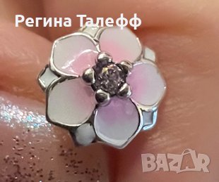 Нежни сребърни обички