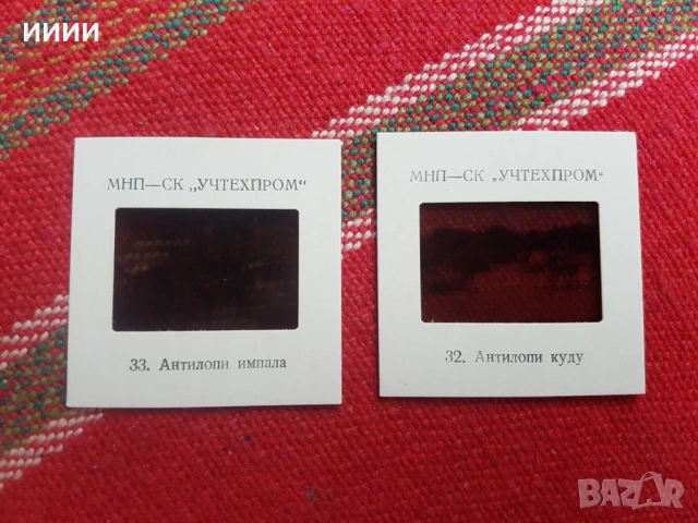 Диапозитиви География на Африка 2 бр, снимка 4 - Антикварни и старинни предмети - 53391590