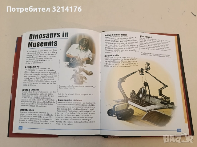 The Ultimate Book of Dinosaurs: Everything You Always Wanted to Know About Dinosaurs, снимка 3 - Енциклопедии, справочници - 52576303