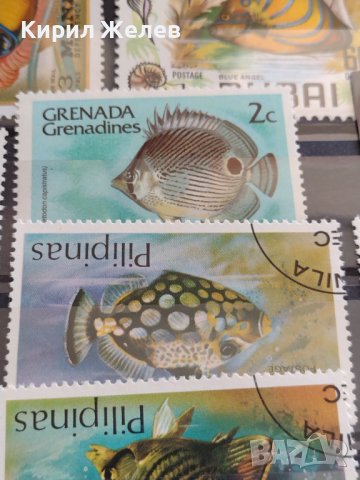 Пощенски марки смесени серия ЕКЗОТИЧНИ РИБИ много красиви за КОЛЕКЦИЯ 37888 , снимка 3 - Филателия - 40455166