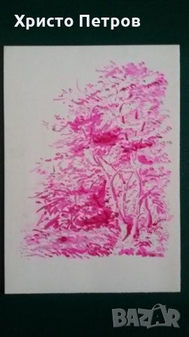 ГРАФИКА ЦВЕТНА - ВИТОША, БГ АВТОР