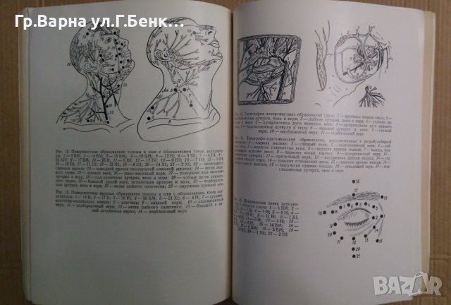 Топографо-анатомические основъи акупунктуръи (на руски) Хлопов Н.А., снимка 3 - Специализирана литература - 43043658