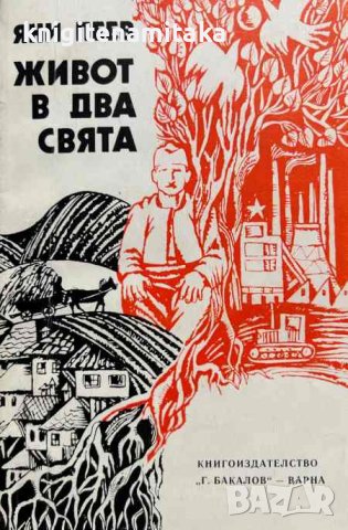 Живот в два свята - Яни Пеев, снимка 1