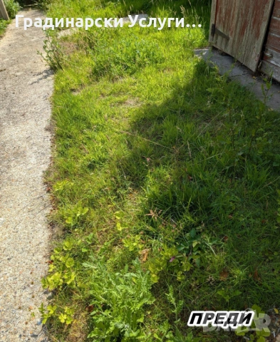 Предлагаме косене, отстраняване и кастрене на дървета, оформяне на храсти и други градинарски услуги, снимка 11 - Други почистващи услуги - 53608621