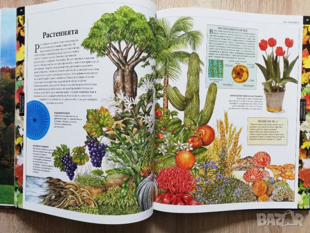 Голяма детска енциклопедия: Земята част 1 и 2, История част 1, Изкуство и Култура, снимка 7 - Детски книжки - 53272930