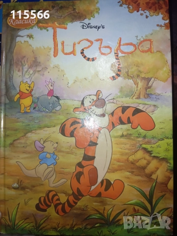 Книгите са в в много добро състояние 