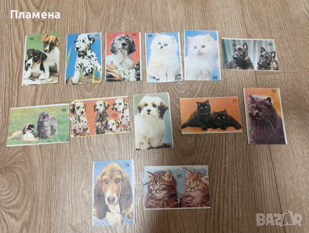 Над 1500 миришещи листчета картинки и корици , снимка 14 - Колекции - 53507558