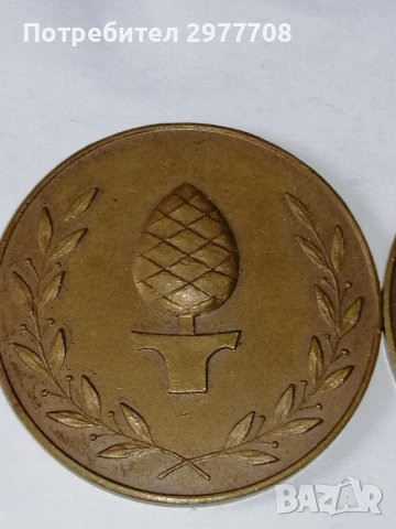 Немски медали по плуване 1951/1952г, снимка 3 - Антикварни и старинни предмети - 36997927