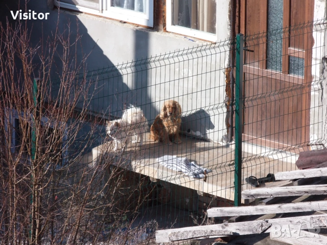 Olympus SP-720UZ 14 mPx, снимка 9 - Фотоапарати - 53227560