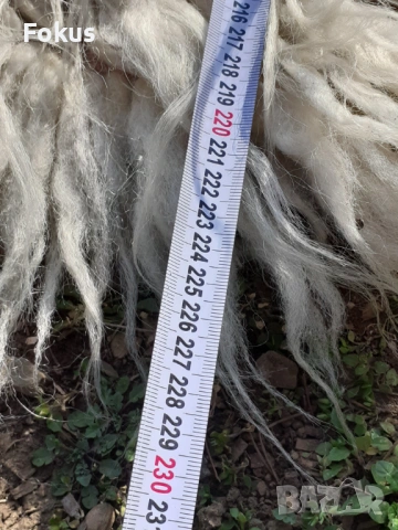 Стар губер китеник рогозка 100% естествена вълна, снимка 6 - Антикварни и старинни предмети - 53340410