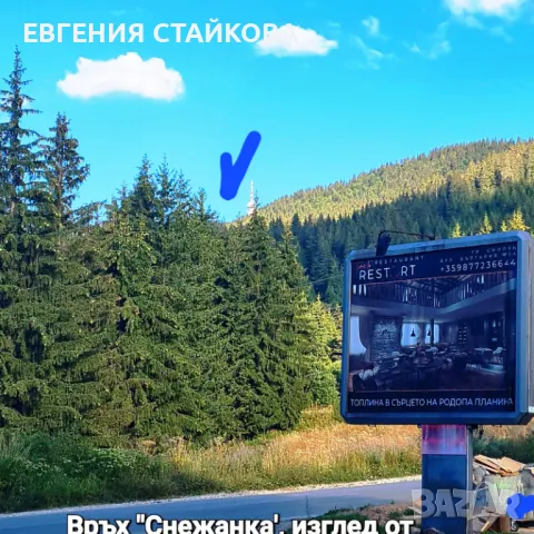 Студио "PANORAMA MOUNTAIN", до ски писта "Пампорово - Стойките", снимка 9 - Квартири, нощувки - 48251681