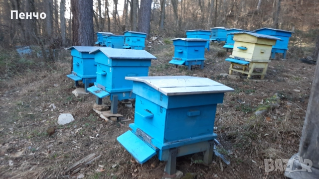 Продажба на кошери, снимка 2 - За пчели - 52682561