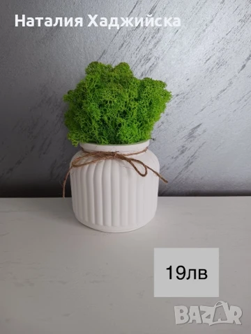 Декоративни кашпи с естествен скандинавски мъх, снимка 11 - Декорация за дома - 51278809