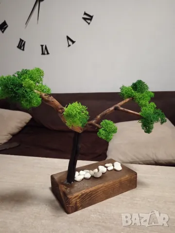Бонсай от Скандинавски мъх , снимка 2 - Декорация за дома - 48915324
