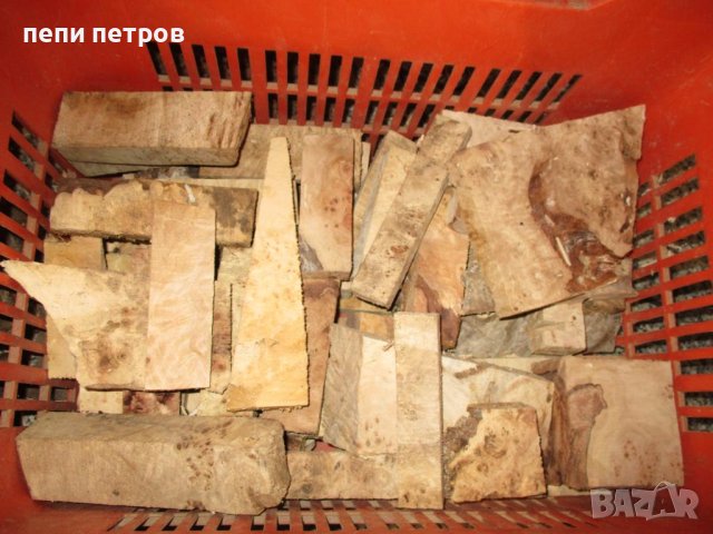 Подарявам трупчета от туморна топола, снимка 4 - Други - 43716445