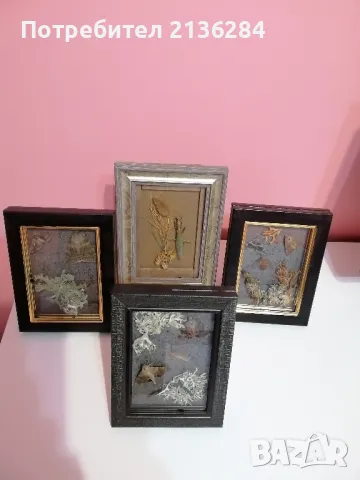 Картини, снимка 7 - Картини - 48669859