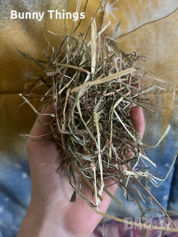 Сено/ Люцерна/ Микс храна за малки и големи зайчета, снимка 5 - Декоративни зайчета - 53350075