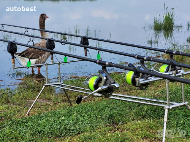 Шаранджийска стойка дам инокс
