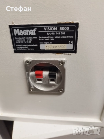 Magnat vision 8000, снимка 2 - Тонколони - 51564431