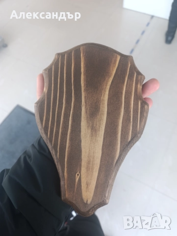 Поставка за ловен трофей 