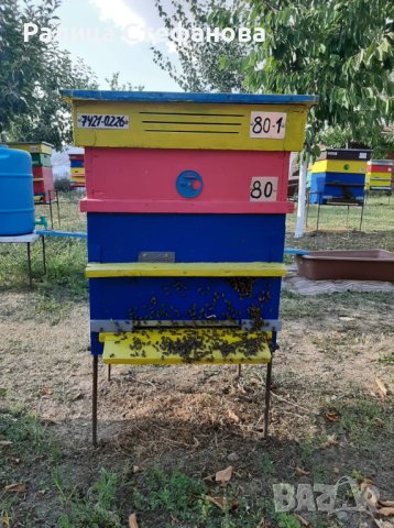 Продавам пчелен/цветен прашец., снимка 4 - Пчелни продукти - 43886258
