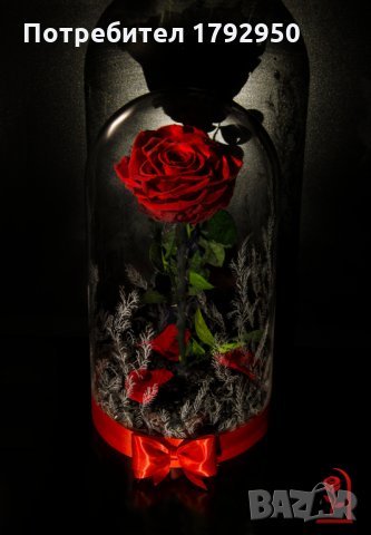 Романтичен подарък за приятелка / ЕСТЕСТВЕНА вечна роза в стъкленица / Подарък за Рожден Ден на Жена, снимка 11 - Градински цветя и растения - 24090675