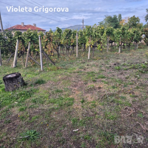 Продавам къща , снимка 7 - Къщи - 53093238