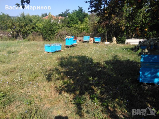 Продавам 100 % натурален полифлорен пчелен мед от Сакар планина, снимка 8 - Пчелни продукти - 25878382