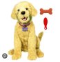 Търся да купя интерактивно куче Furreal friends biscuit , снимка 1 - Образователни игри - 43450305