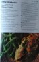 Good Housekeeping Cookery Book: The Cook's Classic Companion. 1998 г., снимка 2