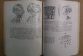 Топографо-анатомические основъи акупунктуръи (на руски) Хлопов Н.А., снимка 3