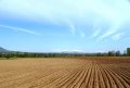 Купувам земеделска земя и идеални части от ниви в община Казанлък, гр. Крън, гр. Шипка.