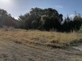 Продава парцел в с.Браниполе, снимка 4