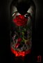 Романтичен подарък за приятелка / ЕСТЕСТВЕНА вечна роза в стъкленица / Подарък за Рожден Ден на Жена, снимка 11