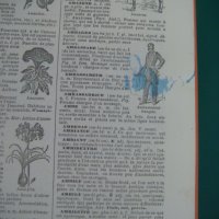  Енциклопедичен речник Larousse, снимка 15 - Енциклопедии, справочници - 40447737