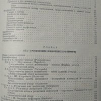 Курс зоологии. Том 1: Беспозвоночные. Том 2: Хордовые 1949 г., снимка 5 - Специализирана литература - 32276460