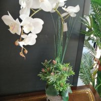 Изкуствена орхидея в кашпа, снимка 1 - Изкуствени цветя - 38256825