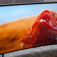 Телевизор LED Smart Samsung, Извит, 55" (139 cм), 4K Ultra HD, снимка 1 - Телевизори - 35277478
