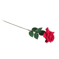 782 Изкуствена роза червена разцъфнала декорация за дом 60см, снимка 4 - Изкуствени цветя - 24465500