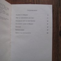 Шарден - книжка за творбите на Жан-Батист-Симеон Шарден - от 1979 г., снимка 4 - Художествена литература - 28761525