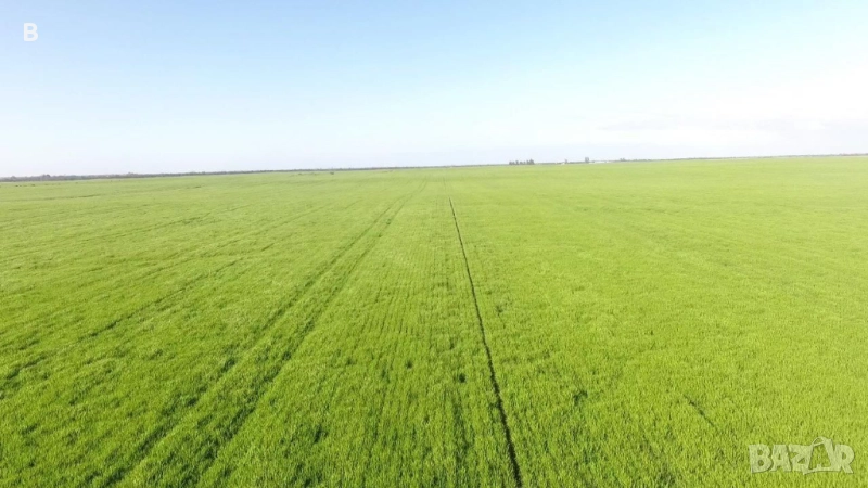 Продавам земеделска земя 4.8 дка, снимка 1