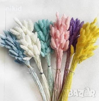 Сноп 10 бр сухи цветя декорация аранжиране ваза букет натурални заешка опашка пухче лагурус пухчета, снимка 1