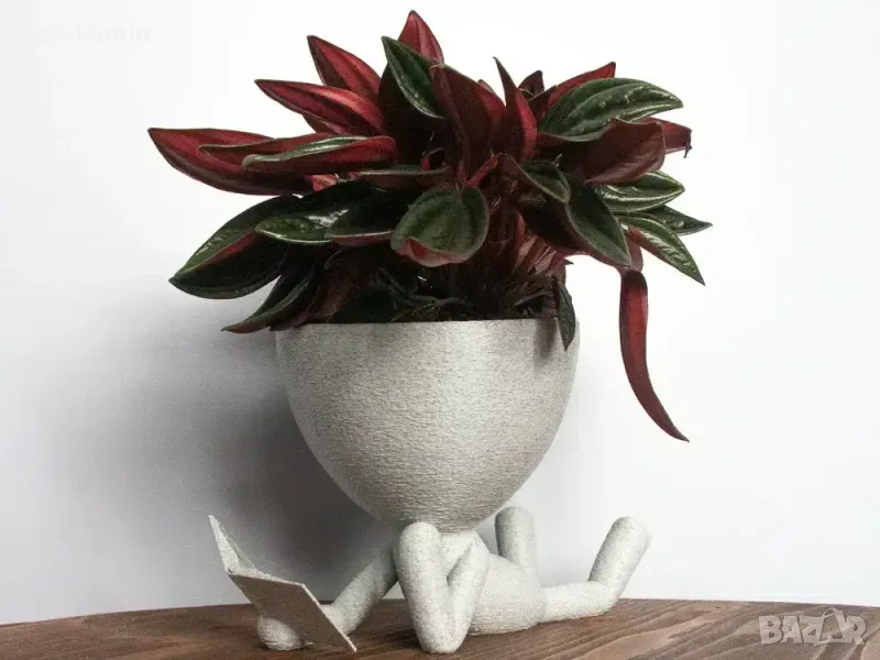 Кашпа – лежащият читател, снимка 1