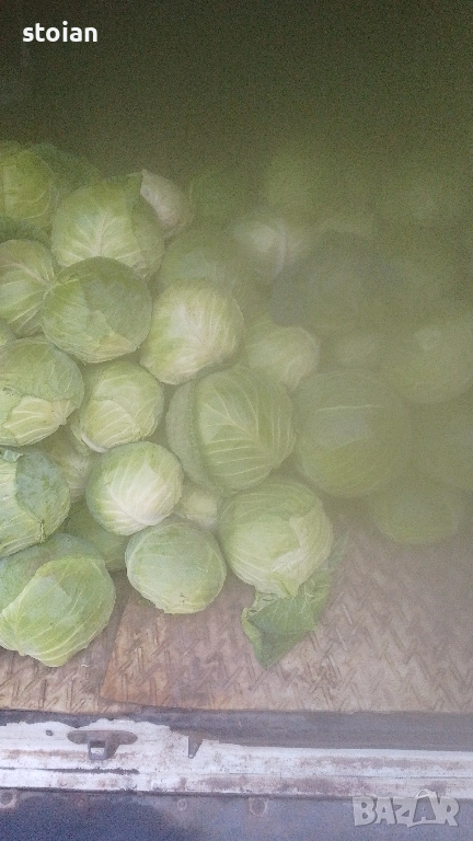 продавам зеле чииз, снимка 1