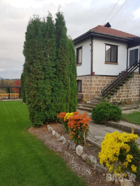 Къща за гости Релакс Белоградчик с. Дъбравка, снимка 1