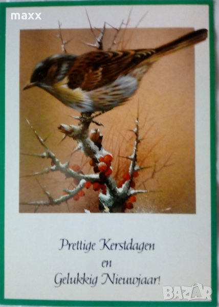 Картичка врабец Presttige Kerstdagen en Gelukkig Nieuwajaar 6, снимка 1