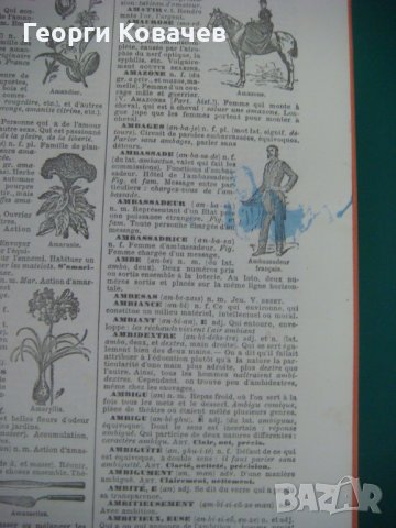  Енциклопедичен речник Larousse, снимка 15 - Енциклопедии, справочници - 40447737