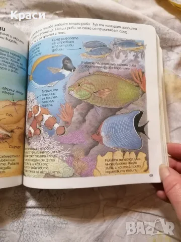 детска образователна книга , снимка 4 - Художествена литература - 48525092