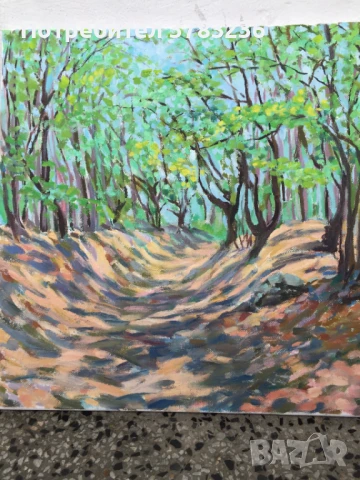 картини с маслени бои, снимка 12 - Картини - 51357899